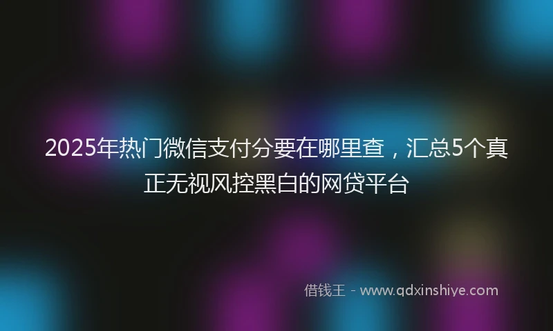 2025年热门微信支付分要在哪里查，汇总5个真正无视风控黑白的网贷平台