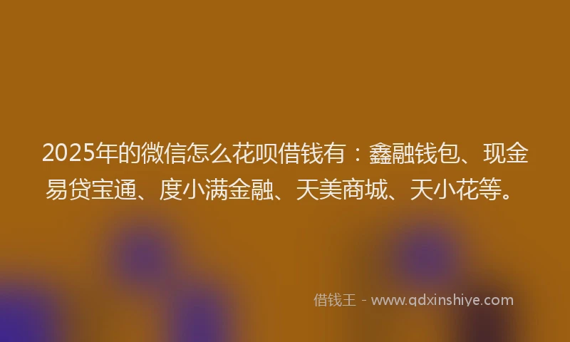 2025年的微信怎么花呗借钱有：鑫融钱包、现金易贷宝通、度小满金融、天美商城、天小花等。