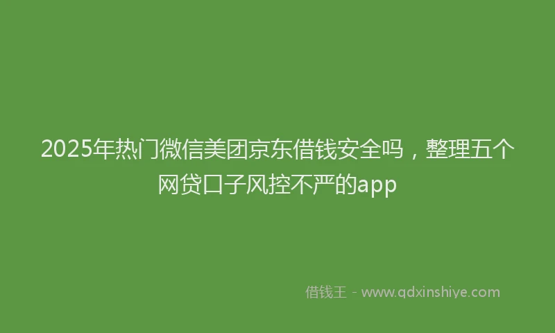 2025年热门微信美团京东借钱安全吗，整理五个网贷口子风控不严的app