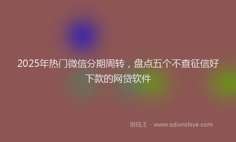 2025年热门微信分期周转，盘点五个不查征信好下款的网贷软件