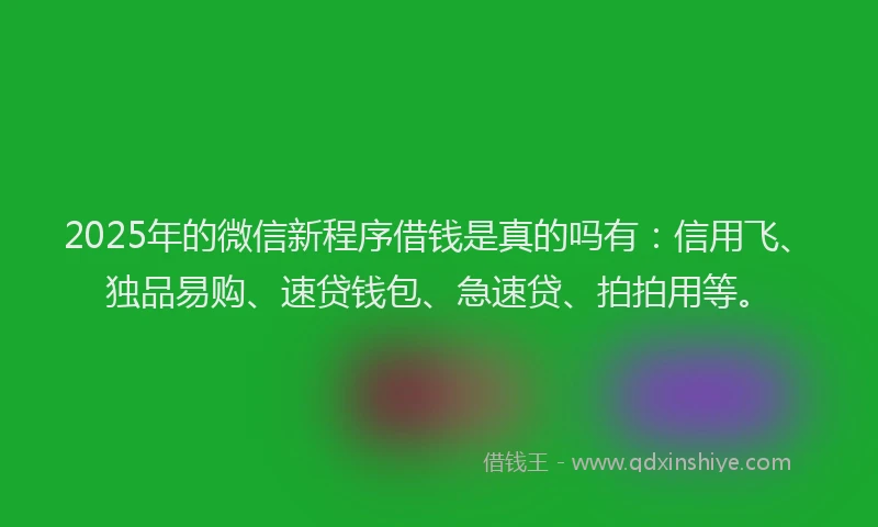 2025年的微信新程序借钱是真的吗有：信用飞、独品易购、速贷钱包、急速贷、拍拍用等。