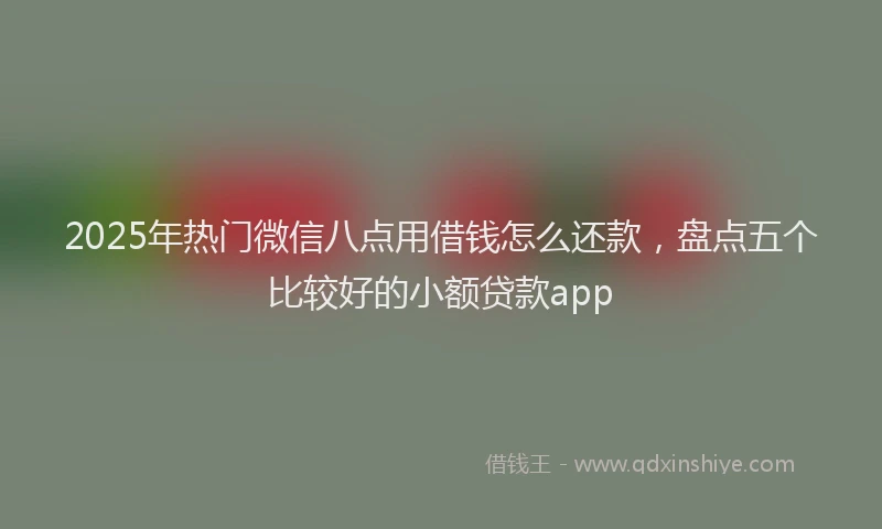 2025年热门微信八点用借钱怎么还款，盘点五个比较好的小额贷款app