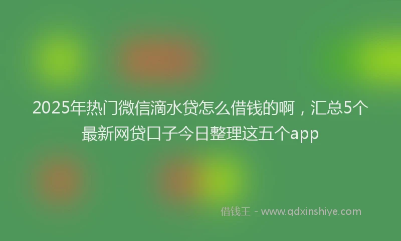 2025年热门微信滴水贷怎么借钱的啊，汇总5个最新网贷口子今日整理这五个app