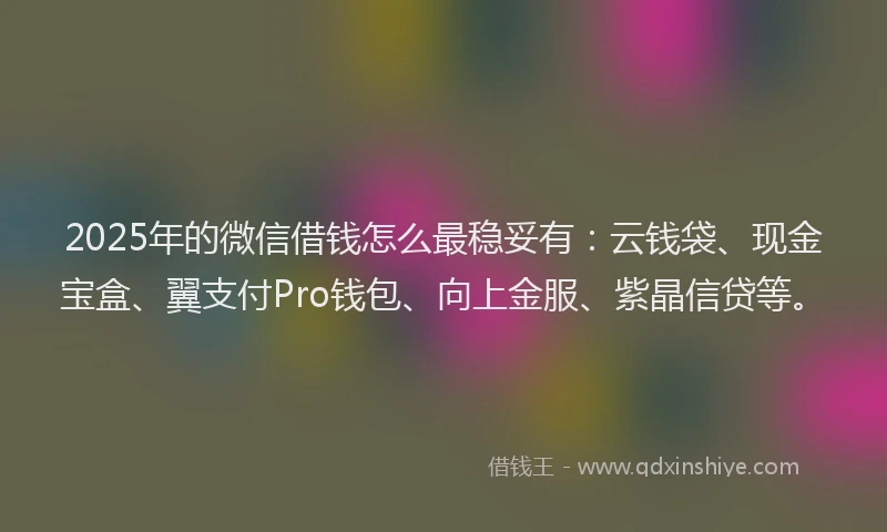 2025年的微信借钱怎么最稳妥有：云钱袋、现金宝盒、翼支付Pro钱包、向上金服、紫晶信贷等。