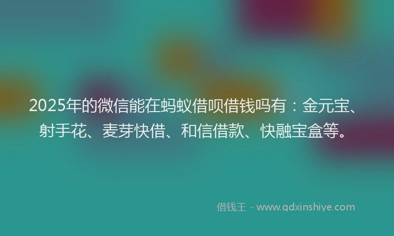 2025年的微信能在蚂蚁借呗借钱吗有：金元宝、射手花、麦芽快借、和信借款、快融宝盒等。