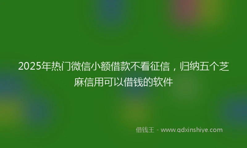 2025年热门微信小额借款不看征信，归纳五个芝麻信用可以借钱的软件