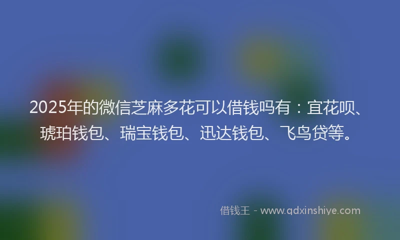 2025年的微信芝麻多花可以借钱吗有：宜花呗、琥珀钱包、瑞宝钱包、迅达钱包、飞鸟贷等。