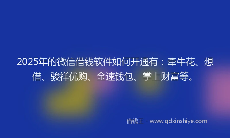 2025年的微信借钱软件如何开通有：牵牛花、想借、骏祥优购、金速钱包、掌上财富等。