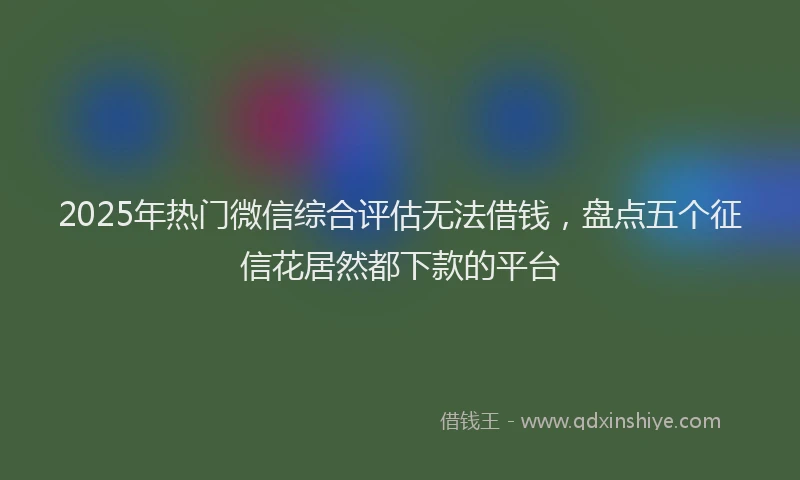 2025年热门微信综合评估无法借钱，盘点五个征信花居然都下款的平台