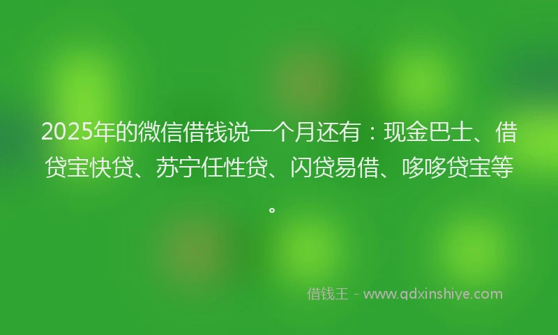 2025年的微信借钱说一个月还有：现金巴士、借贷宝快贷、苏宁任性贷、闪贷易借、哆哆贷宝等。