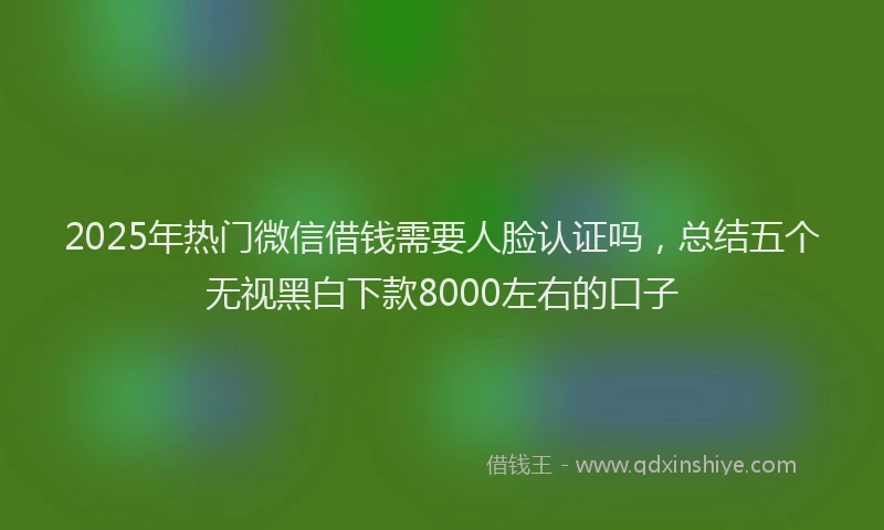 2025年热门微信借钱需要人脸认证吗，总结五个无视黑白下款8000左右的口子