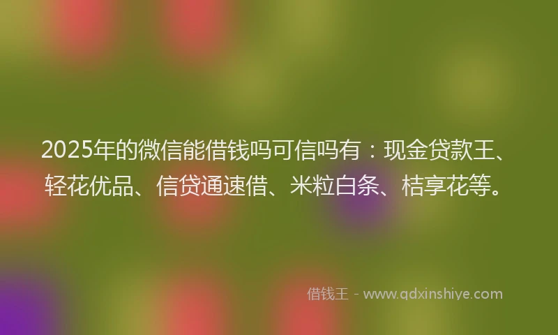 2025年的微信能借钱吗可信吗有：现金贷款王、轻花优品、信贷通速借、米粒白条、桔享花等。