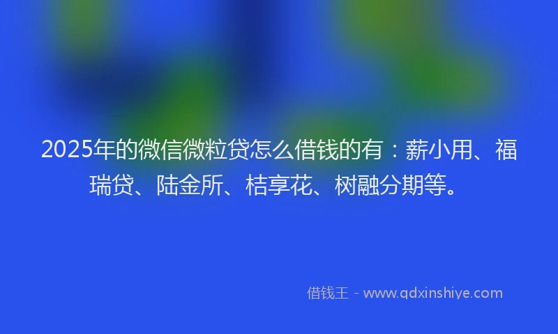 2025年的微信微粒贷怎么借钱的有：薪小用、福瑞贷、陆金所、桔享花、树融分期等。