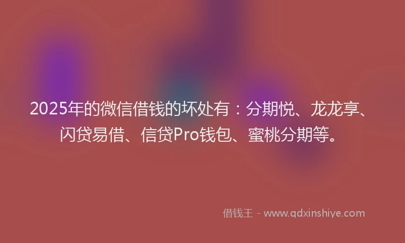2025年的微信借钱的坏处有：分期悦、龙龙享、闪贷易借、信贷Pro钱包、蜜桃分期等。