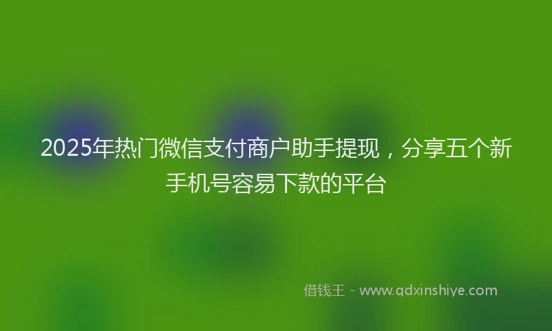 2025年热门微信支付商户助手提现，分享五个新手机号容易下款的平台