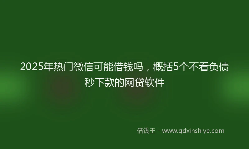 2025年热门微信可能借钱吗，概括5个不看负债秒下款的网贷软件