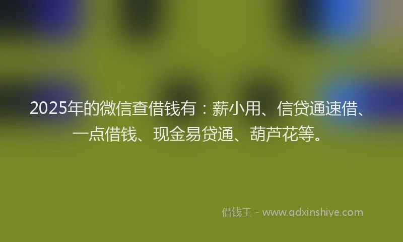 2025年的微信查借钱有：薪小用、信贷通速借、一点借钱、现金易贷通、葫芦花等。