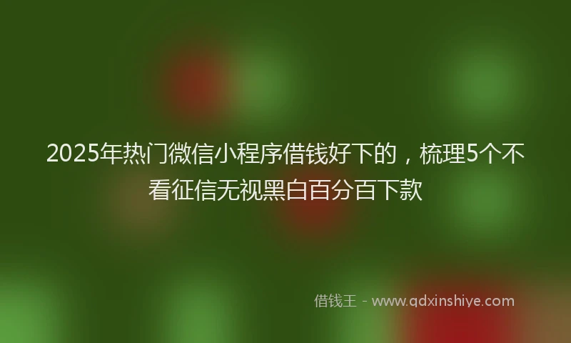 2025年热门微信小程序借钱好下的，梳理5个不看征信无视黑白百分百下款