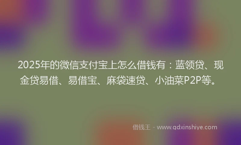 2025年的微信支付宝上怎么借钱有：蓝领贷、现金贷易借、易借宝、麻袋速贷、小油菜P2P等。
