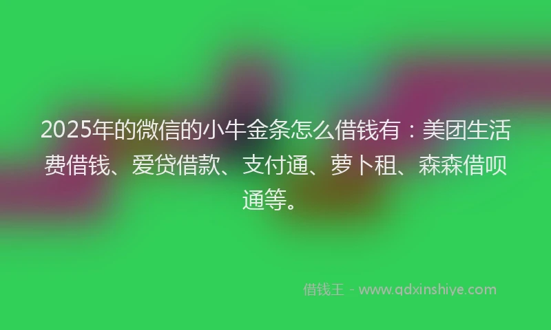 2025年的微信的小牛金条怎么借钱有：美团生活费借钱、爱贷借款、支付通、萝卜租、森森借呗通等。