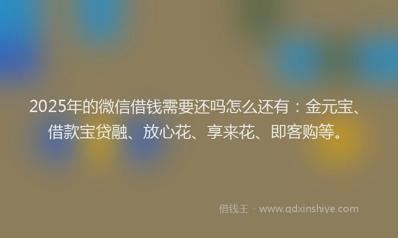 2025年的微信借钱需要还吗怎么还有：金元宝、借款宝贷融、放心花、享来花、即客购等。