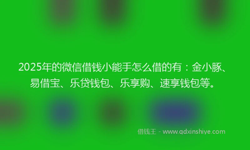 2025年的微信借钱小能手怎么借的有：金小豚、易借宝、乐贷钱包、乐享购、速享钱包等。