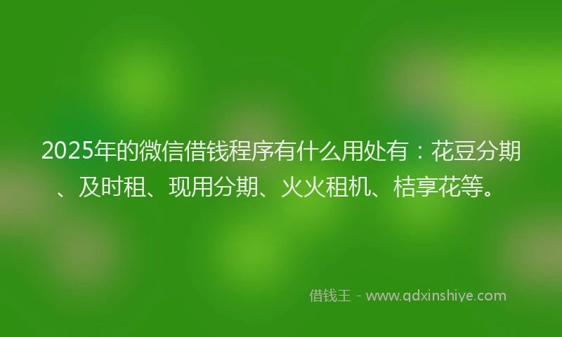 2025年的微信借钱程序有什么用处有：花豆分期、及时租、现用分期、火火租机、桔享花等。