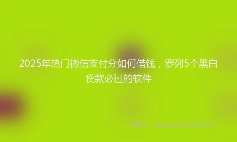2025年热门微信支付分如何借钱，罗列5个黑白贷款必过的软件