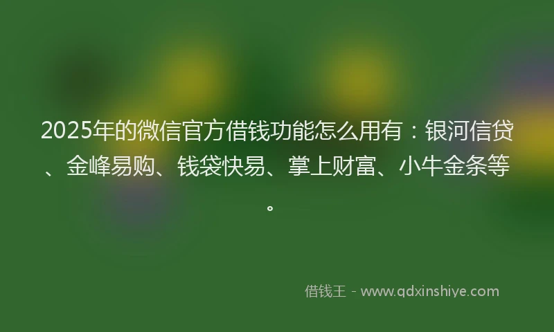 2025年的微信官方借钱功能怎么用有：银河信贷、金峰易购、钱袋快易、掌上财富、小牛金条等。