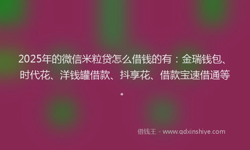 2025年的微信米粒贷怎么借钱的有：金瑞钱包、时代花、洋钱罐借款、抖享花、借款宝速借通等。