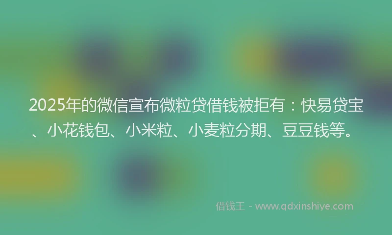 2025年的微信宣布微粒贷借钱被拒有：快易贷宝、小花钱包、小米粒、小麦粒分期、豆豆钱等。