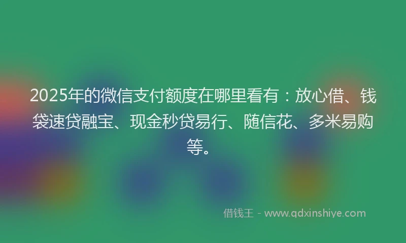 2025年的微信支付额度在哪里看有：放心借、钱袋速贷融宝、现金秒贷易行、随信花、多米易购等。