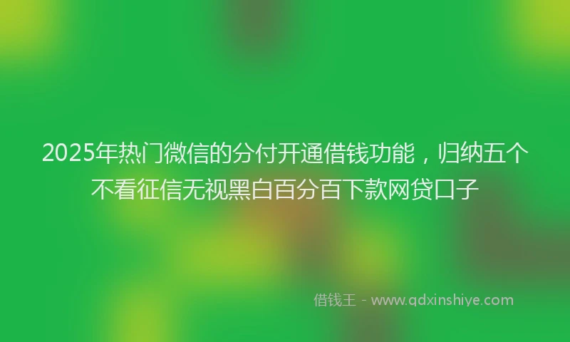 2025年热门微信的分付开通借钱功能，归纳五个不看征信无视黑白百分百下款网贷口子
