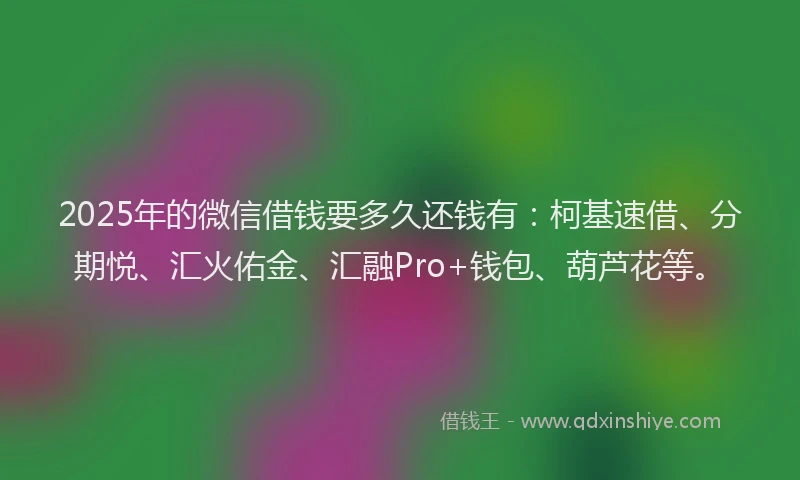 2025年的微信借钱要多久还钱有：柯基速借、分期悦、汇火佑金、汇融Pro+钱包、葫芦花等。