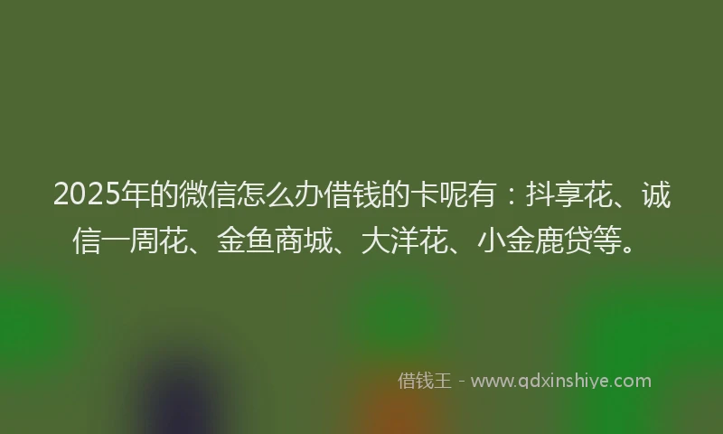 2025年的微信怎么办借钱的卡呢有：抖享花、诚信一周花、金鱼商城、大洋花、小金鹿贷等。