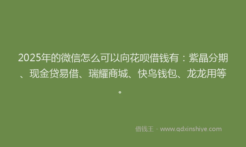 2025年的微信怎么可以向花呗借钱有：紫晶分期、现金贷易借、瑞耀商城、快鸟钱包、龙龙用等。