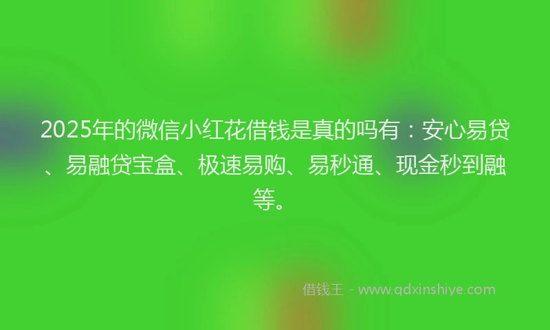2025年的微信小红花借钱是真的吗有：安心易贷、易融贷宝盒、极速易购、易秒通、现金秒到融等。
