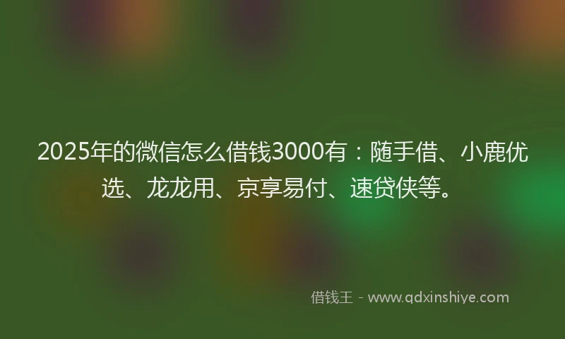2025年的微信怎么借钱3000有：随手借、小鹿优选、龙龙用、京享易付、速贷侠等。