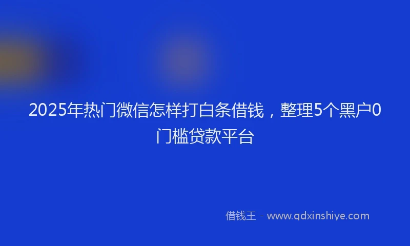 2025年热门微信怎样打白条借钱，整理5个黑户0门槛贷款平台
