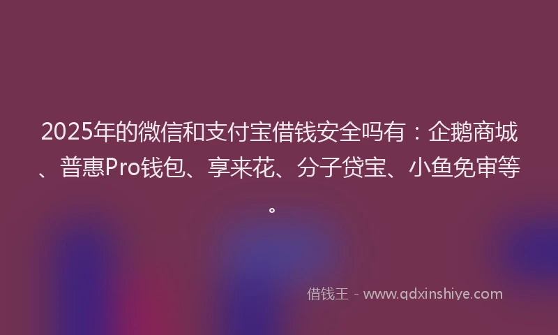 2025年的微信和支付宝借钱安全吗有：企鹅商城、普惠Pro钱包、享来花、分子贷宝、小鱼免审等。