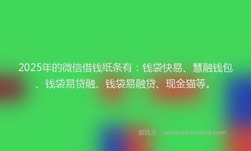 2025年的微信借钱纸条有：钱袋快易、慧融钱包、钱袋易贷融、钱袋易融贷、现金猫等。