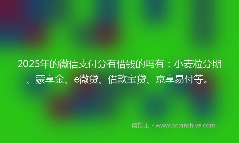 2025年的微信支付分有借钱的吗有：小麦粒分期、蒙享金、e微贷、借款宝贷、京享易付等。