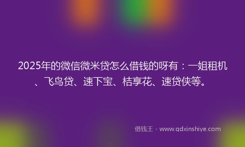 2025年的微信微米贷怎么借钱的呀有：一姐租机、飞鸟贷、速下宝、桔享花、速贷侠等。