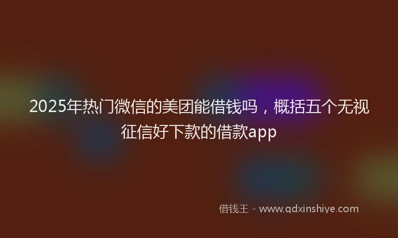 2025年热门微信的美团能借钱吗，概括五个无视征信好下款的借款app