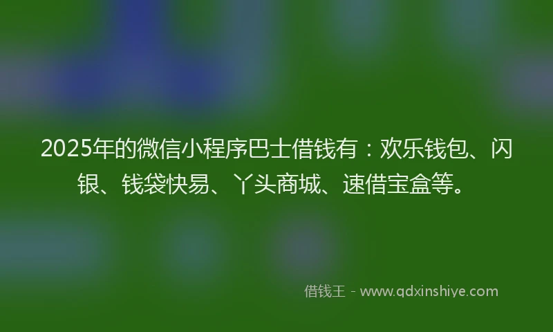 2025年的微信小程序巴士借钱有：欢乐钱包、闪银、钱袋快易、丫头商城、速借宝盒等。