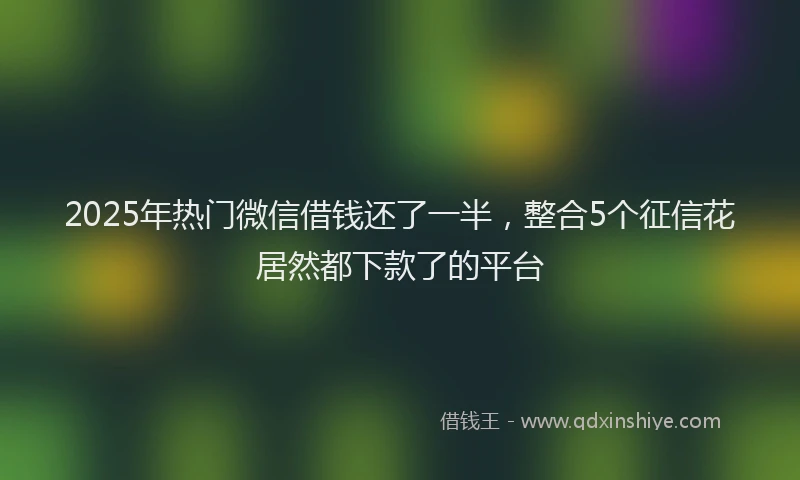 2025年热门微信借钱还了一半，整合5个征信花居然都下款了的平台