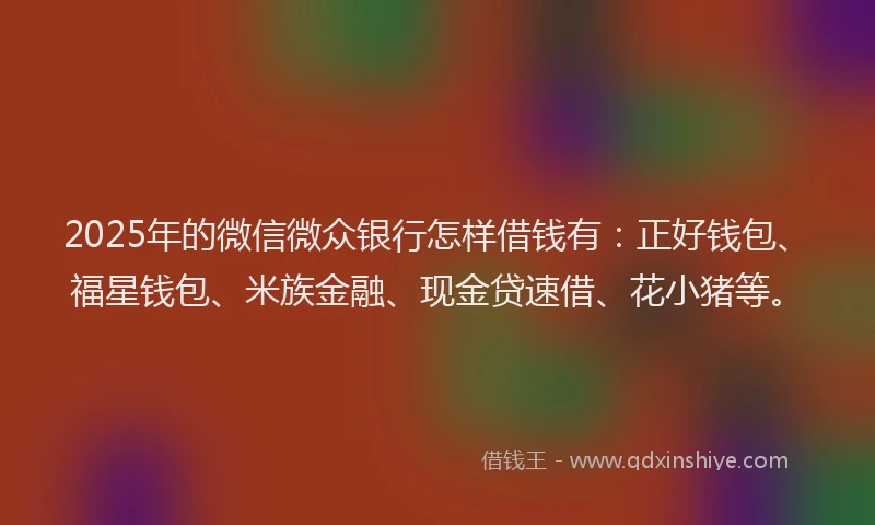 2025年的微信微众银行怎样借钱有：正好钱包、福星钱包、米族金融、现金贷速借、花小猪等。