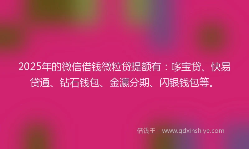 2025年的微信借钱微粒贷提额有：哆宝贷、快易贷通、钻石钱包、金瀛分期、闪银钱包等。