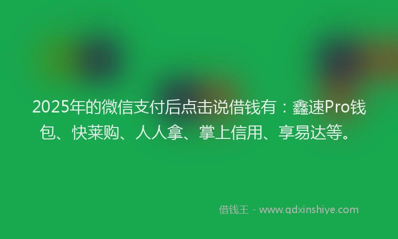 2025年的微信支付后点击说借钱有：鑫速Pro钱包、快莱购、人人拿、掌上信用、享易达等。