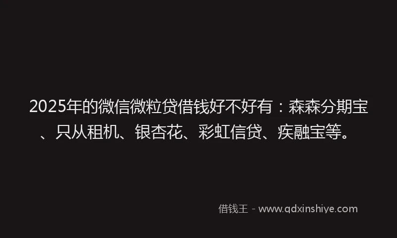 2025年的微信微粒贷借钱好不好有：森森分期宝、只从租机、银杏花、彩虹信贷、疾融宝等。